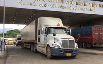 Bộ Nông nghiệp và Môi trường: Ách tắc hàng hóa, nông sản ở nhiều cửa khẩu cơ bản được giải quyết