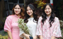 Tết sắp về, tiết kiệm thôi