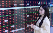 Sóng thoái vốn lan rộng trên sàn chứng khoán