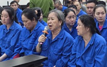 Nhiều gia đình đưa con, cháu vào đường dây mại dâm dưới 16 tuổi