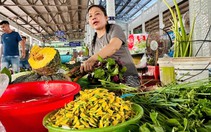 Giá cả đầu ngày: Rau đồng vào mùa, bông điên điển tăng giá; mãng cầu xiêm 90.000 đồng/kg