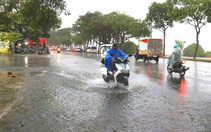 Đoạn đường Trần Hưng Đạo bên sông Hàn bì bõm ngập nước: Khắc phục ra sao?
