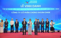 DNSE vươn vào top 10 môi giới VNX, cán mốc 2 triệu tài khoản
