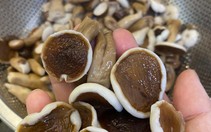 Giá cả đầu ngày: Nấm tràm cuối mùa 75.000 đồng/kg, cam còn 10.000 đồng/kg, nho thân gỗ hết giá bạc triệu