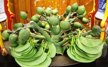 Không còn nhiều người ăn trầu, có nên sắm trầu cau trong lễ cưới hỏi?