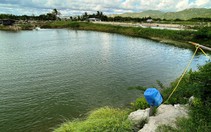 Cụ bà khiếu nại bị thu hồi đất ‘không bồi thường’ đìa nuôi tôm ở Cam Ranh