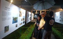 13 câu chuyện quanh đầm Thị Nại
