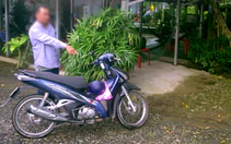 Chiếc xe máy cách hiện trường 500m phơi bày màn kịch mất trộm hơn 400 triệu đồng
