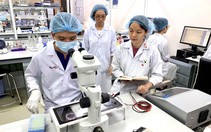 Tìm người giỏi nhất để giao những việc lớn