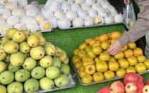 Giá cả đầu ngày: Cua biển xuống giá, người TP.HCM tranh thủ mua tận vựa; Hồng Đà Lạt về miền Tây giá từ 40.000 đồng/kg