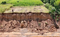 Quảng Ngãi chỉ đạo khẩn vụ sạt lở bờ sông Trà Khúc