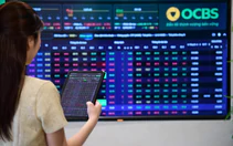 Việt Nam cần 1.460 tỉ USD cho 5 năm tới, thị trường vốn đứng trước bài toán lớn