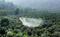 Dùng UAV hỗ trợ nông dân trên cánh đồng Điện Biên