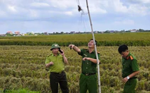 Ninh Bình xử lý hàng chục vụ bẫy bắt, nuôi nhốt chim hoang dã, khởi tố 1 bị can