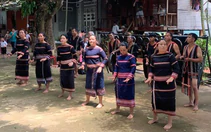 Nhất định tôi lại tới Chư Đăng Ya sống trọn vẹn mùa vàng hoa dã quỳ