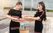 Workshop cùng nông dân xây 'hệ miễn dịch' cho cà phê Robusta ngay tại vườn