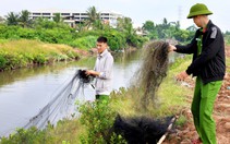 Một tháng tháo gỡ hơn 4.500m lưới bẫy chim, giải cứu 57 chim hoang dã