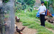 Đang đi chăn dê thì mồ côi mẹ, tân SV dân tộc Thái nay đậu đại học ở thủ đô, tất bật kiếm sống