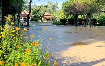Cải tạo chỉnh trang công viên Lê Thị Riêng thành công viên tưởng niệm: Kế hoạch hợp lòng dân
