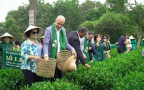 Đại sứ các nước tại Việt Nam rủ nhau đi tàu di sản, hái chè Thái Nguyên