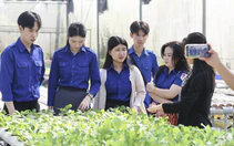 Sinh viên Lào, Campuchia trải nghiệm làm nông dân, tìm hiểu lịch sử, văn hóa Việt