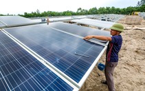 EVN muốn đàm phán lại giá mua điện, loạt doanh nghiệp điện gió, điện mặt trời xoay xở lo nợ xấu