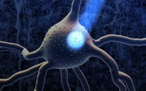 Nobel y sinh 2026: Bật tắt neuron bằng ánh sáng, đặt nền cho cách chữa Alzheimer, Parkinson trong tương lai