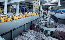 Nhà máy Phân Bón Cà Mau sẽ đón nông dân tham quan trước vụ mới