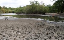 El Nino có thể mạnh nhất hơn 70 năm, đỉnh điểm vào tháng 12