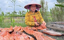 Về ‘thủ phủ’ khô cá lóc Cần Thơ xem người dân hối hả phơi khô vụ Tết