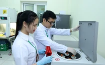 Học viện Nông nghiệp Việt Nam quy đổi, cộng điểm IELTS từ 4.0