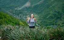 Ngắm hoàng hôn, ăn dứa no nê tại thung lũng Đồng Din