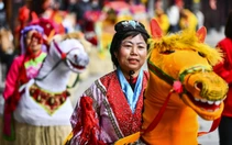 Tuổi Ngọ có thật sự năng động? Khoa học chỉ ra 'cú lừa' tâm lý phía sau niềm tin quen thuộc