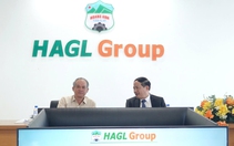 Chủ tịch tỉnh Gia Lai thăm và làm việc với Tập đoàn Hoàng Anh Gia Lai