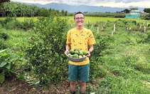 Về vườn với hành trình sống xanh