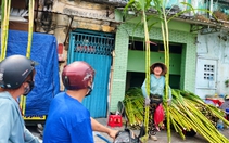 Mía vàng 120.000 đồng/cặp vẫn 'cháy hàng' trước ngày vía Ngọc Hoàng