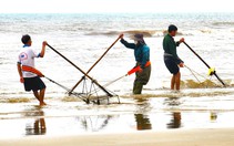 Người dân đua nhau cào ốc tép kiếm tiền triệu mỗi ngày dịp đầu năm