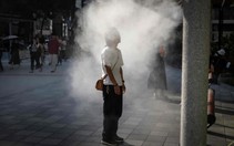 Nhật Bản đối mặt mùa hè 'nóng đổ lửa', 40°C là... thường thôi
