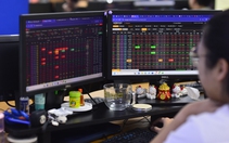 500 mã giảm điểm, VN-Index thấp nhất kể từ đầu năm