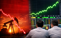 Cổ phiếu dầu khí 'nằm sàn' hàng loạt, VN-Index hồi phục sau cú sốc