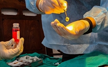 Người đứng đầu bệnh viện phải chịu trách nhiệm nếu hiến, ghép tạng không đúng quy định