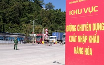 Bộ Y tế đề nghị chuẩn bị sẵn sàng các điều kiện để triển khai nghị định 46 về an toàn thực phẩm