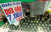 Giá trái cây rớt mạnh, nhiều nơi rao 'giải cứu'