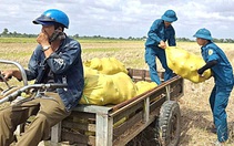 Tìm đầu ra suôn sẻ cho nông sản