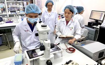 TP.HCM đặt mục tiêu chi 3% GRDP cho nghiên cứu phát triển, gần 400 chuyên gia hiến kế