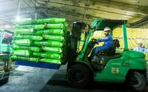 Đề nghị doanh nghiệp ưu tiên phân bón cho thị trường trong nước