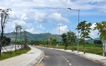 Vụ từ TP.HCM ra Quảng Ngãi đấu giá, trúng 16 lô đất rồi bỏ cọc: Sẽ tổ chức đấu giá lại