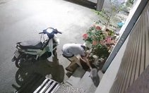 Ngày 8-3, cô gái đi ăn trộm mèo bị bắt quả tang