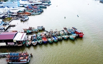 Ngư dân tìm cách giảm chi phí, bám biển