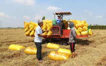 Yêu cầu chuyển từ tư duy sản xuất sang kinh tế nông nghiệp xanh